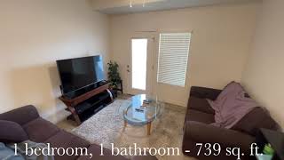Phase 2 (1x1) Apartment Layout - 739 Square Feet