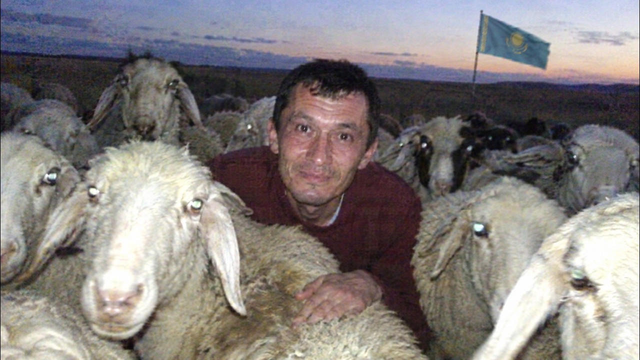 Ужасы казахстанского интернета