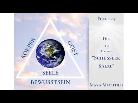 24 . Die 12 Haupt -  Schüssler- Salze