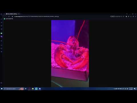 Showmatch FT10 - Trung Dang vs Stark