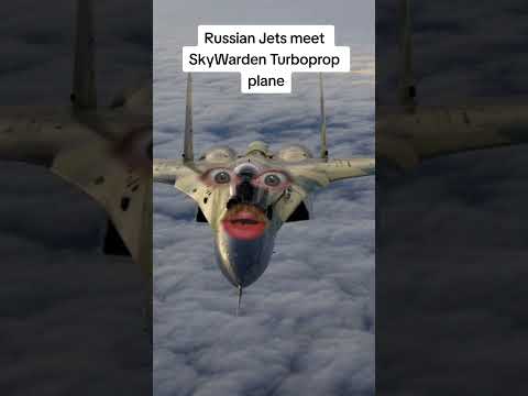 Russian fighter Meets Sky Warden Special Forces Plane But Meets His Escort Plane Instead #aviation