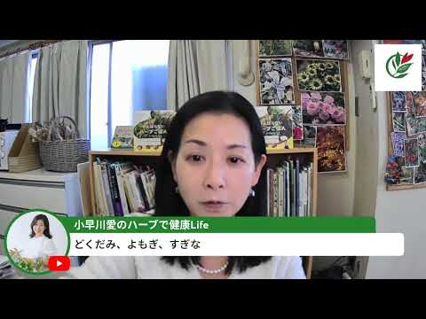 医療ビジネス薬科学科 ジャパニーズハーブを解説