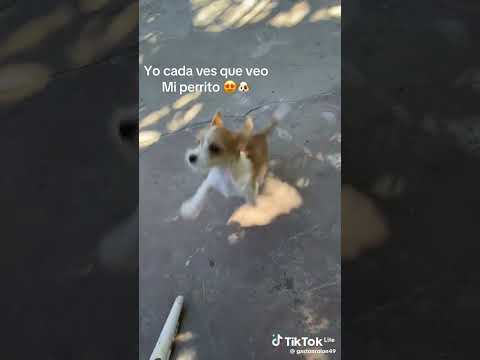 9 de septiembre de 2025