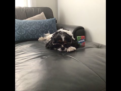 Playground montage - legends never die