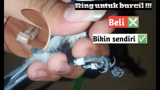 Download lagu Hanya modal benda ini membuat ring untuk burcil || praktis dan murah mp3 Download lagu Hanya modal benda ini membuat ring untuk burcil || praktis dan murah mp3