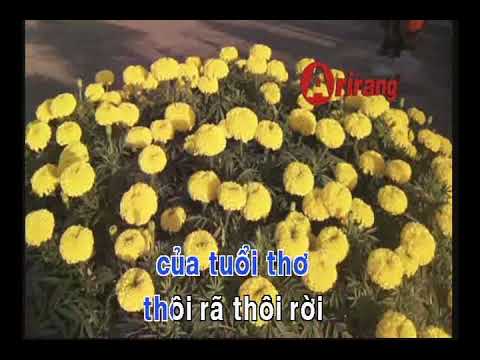 MÙA XUÂN TRÊN ĐỈNH BÌNH YÊN    TỪ C karaoke Nhac Xuan