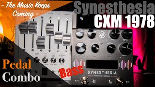Effect Pedal Combo: Bass! Synesthesia GFI System+CXM 1978 Reverb Chase Bliss+Ages Walrus Audio