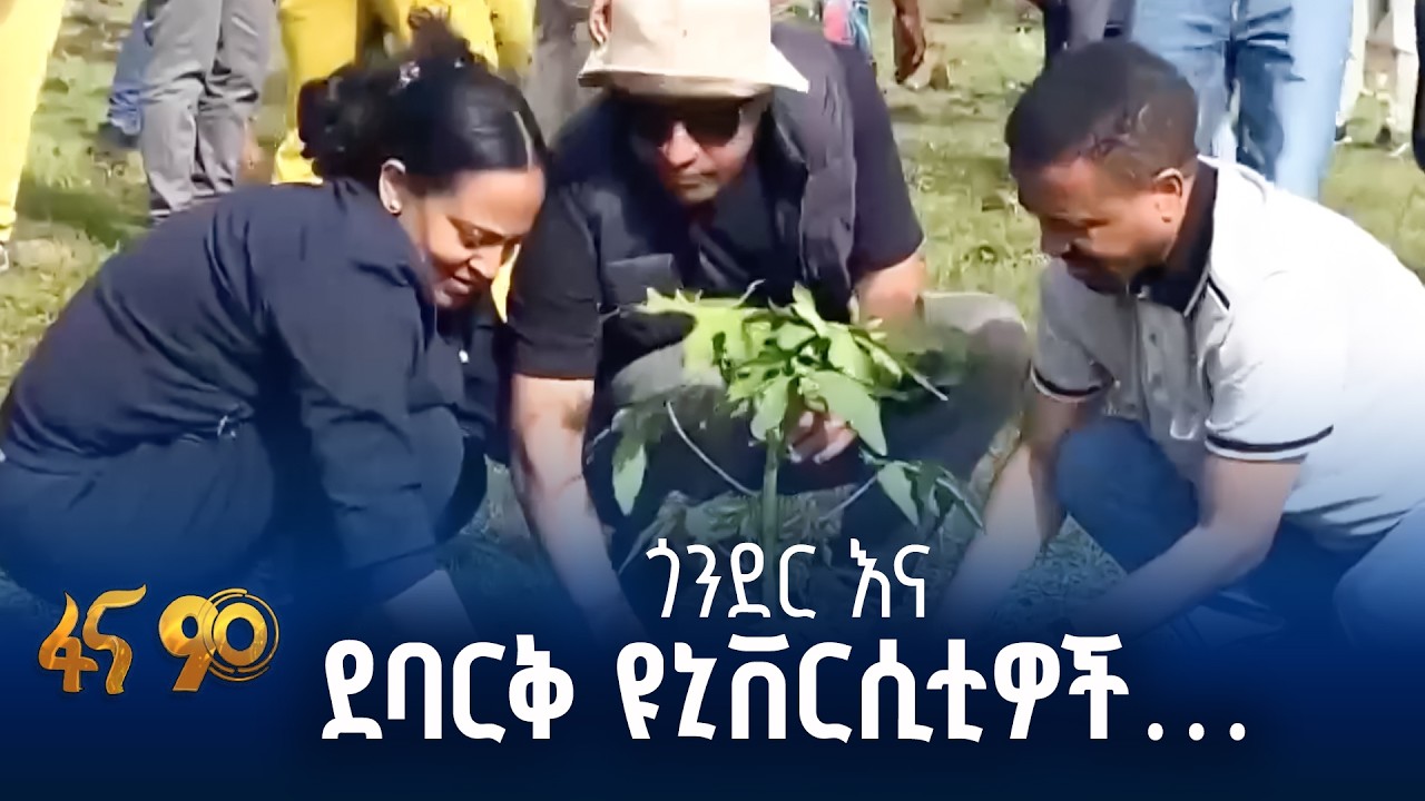 በጥናት የተለዩ አዳዲስ የችግኝ ዝርያዎች በማላመድ