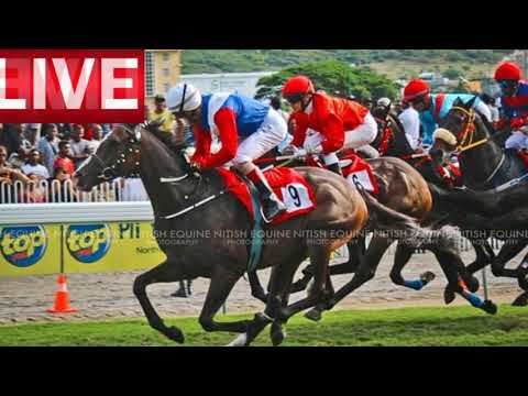 Champ De Mars Horse Racing Analyse (24 August 2019 - Meeting 23)