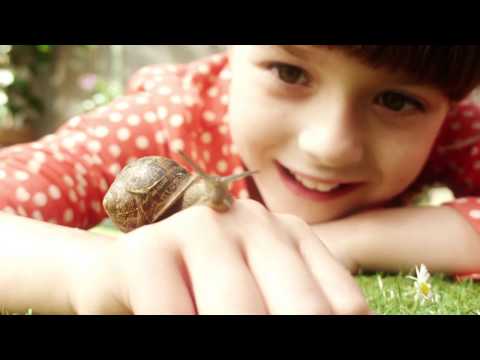 Topsy & Tim 301 - CAMPING WEEKEND | Full Episodes | Shows for Kids | HD