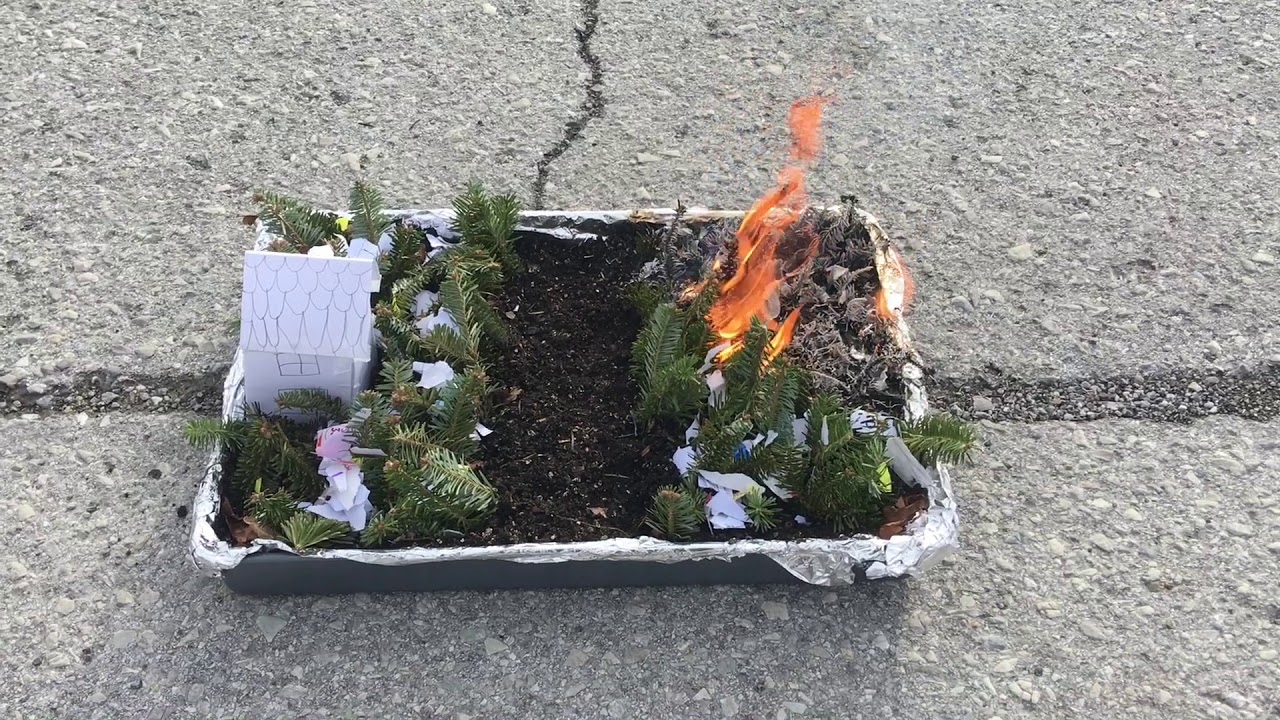 Forest Fire Simulation: Part 2-B With Firebreak