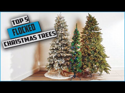 image-What color lights do you put on a flocked tree?