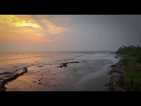 Tedi Aleksandrova x Silver - AMG Isteria/azis mrasnica mix 18.04.2025