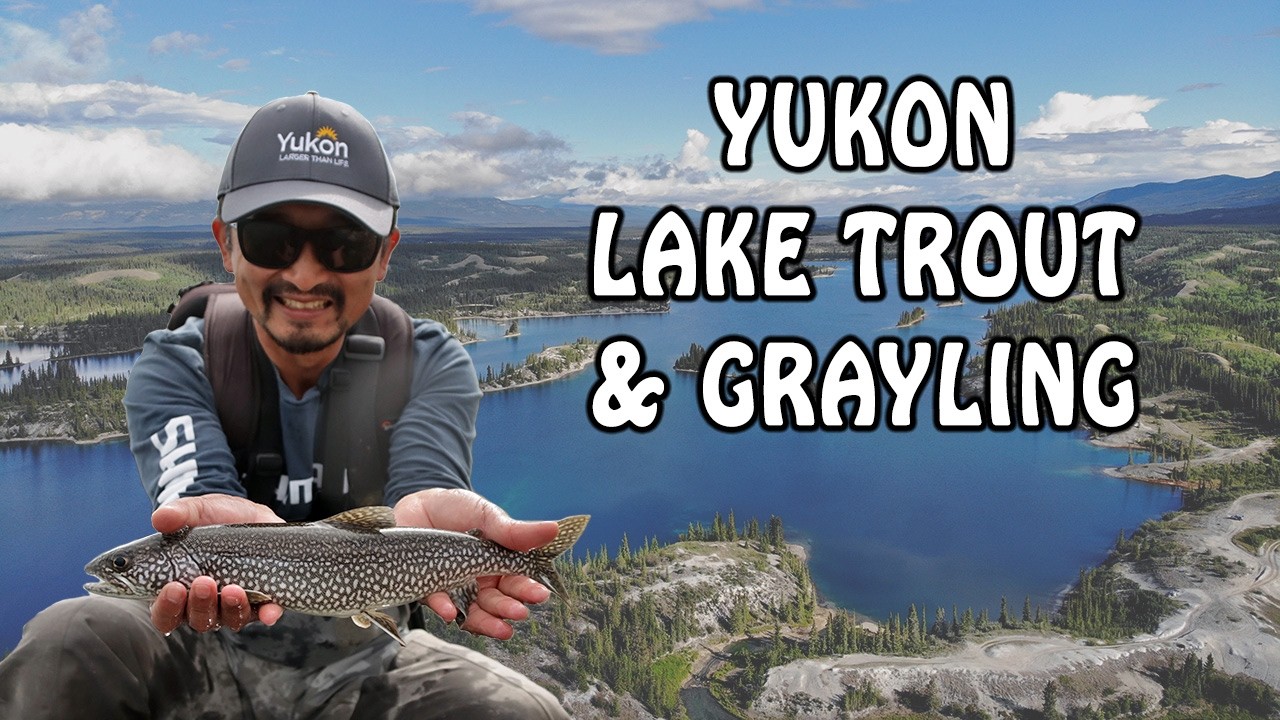 Shore fishing for Arctic grayling and lake trout in Yukon Canada