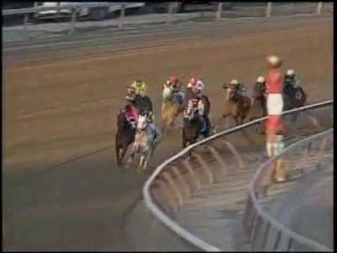 Starlight Champions - Purge wins the Cigar Mile Handicap