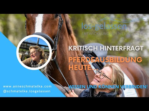 Kritisch hinterfragt | Ausbildung und Pferde heute