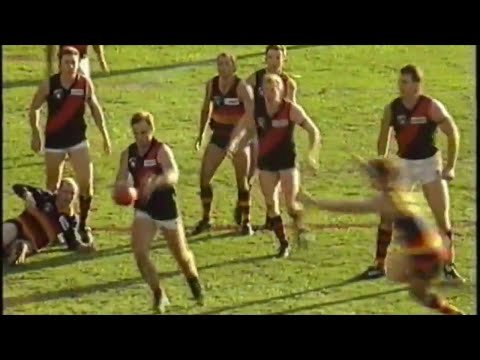 1993 AFL Preliminary Final - Essendon vs Adelaide
