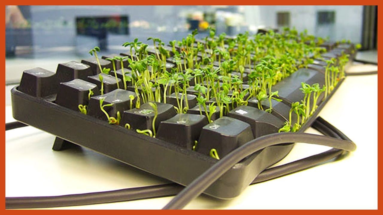 Hilarious Pranks For April Fools' Day