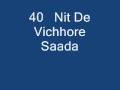 Nit De Vichhore Saada