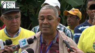 RD: primer exportador de banano en el mundo