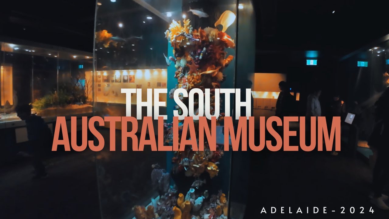 Discover the highlights of South Australian Museum.