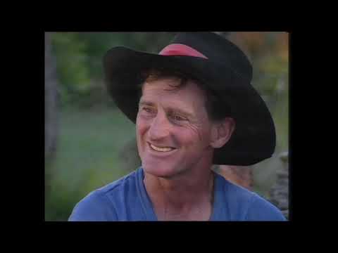 10 Great Australian Racehorses from the 70s and 80s