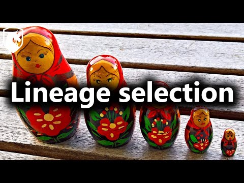 Bret explains lineage selection and its differences with kin and group selection (from May Patreon)