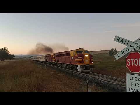 NSWGR 4486 4464 Golden West rail tour Werris Creek NSW LVR preservation society