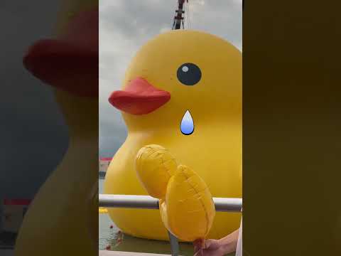 1 $ Or Duck? #shorts