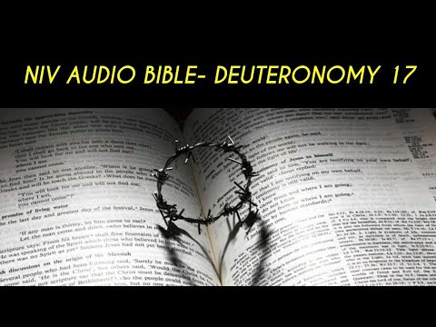 DEUTERONOMY 17 NIV AUDIO BIBLE (with text)