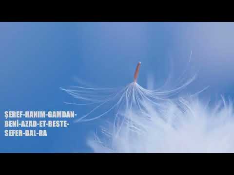ŞEREF HANIM GAMDAN BENİ AZAD ET BESTE SEFER DAL RA-Sami Özer