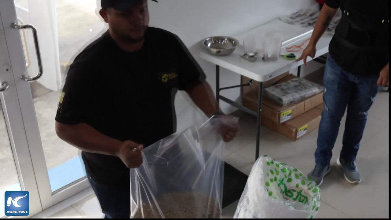 Panamá organiza la competencia "Best of Panama 2026" con 102 lotes de café de especialidad