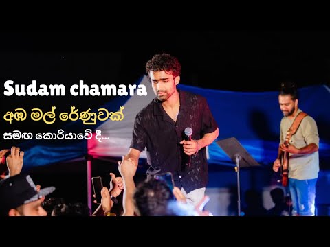 අඹ මල් රේණුවක් තරම් (සුදම් චාමර කොරියාවේ දී) |Ambamal Renuwak tharam | Sudam Chamara| delighted 2025