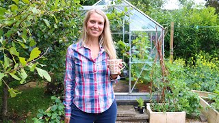 Greenhouse Gardening Guide for Abundant Crops and Healthy Plants