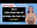 Tự nhiên xã hội lớp 3 Bài 14: Chức năng một số bộ phận của thực vật