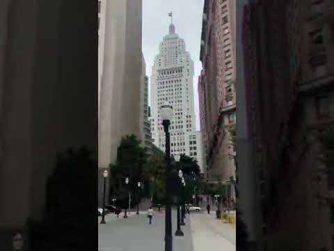 Husky Lion / Vale do Anhangabaú