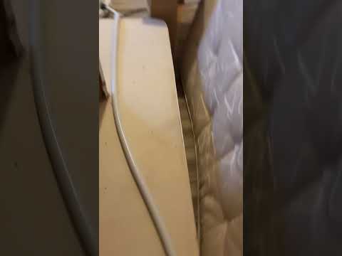 Ultimate Pest Control video.