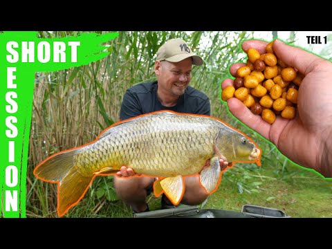 Wir gehen an den Vereinsteich 🎣 Kurze Session beim Karpfenangeln ⏳ Teil 1