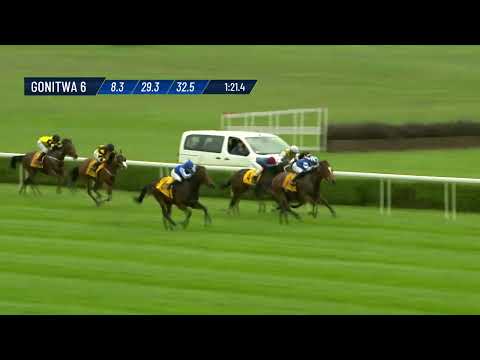 NAGRODA STRZEGOMIA (SPECJALNA) – (KAT. B) - (20.04.2024)