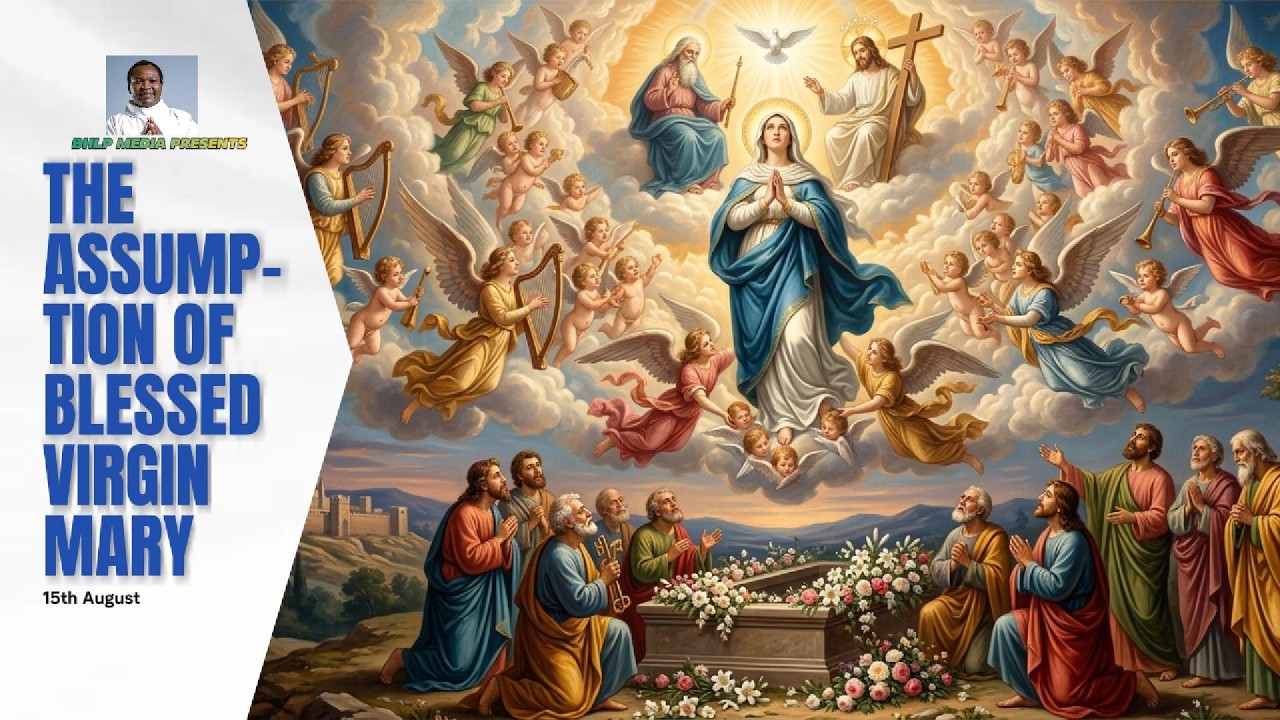 TODAY'S REFLECTION thumbnail