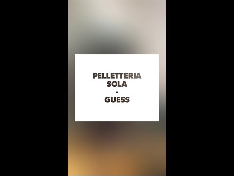 COLLEZIONE AI21 GUESS - PELLETTERIA SOLA
