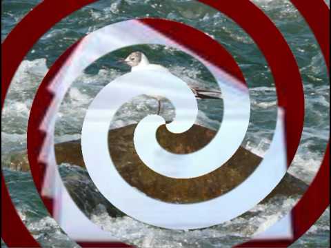 DADDY SPIEWA   - PUSTE KOPERTY