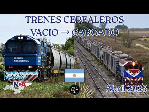 Del acopio al puerto: buscando trenes cerealeros por la RN 178 - Abril 2025