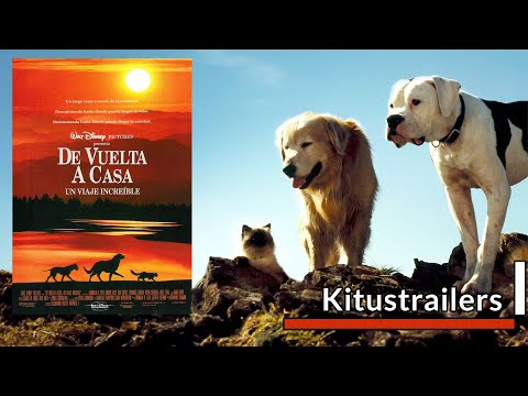Tráiler Volviendo a Casa: Un Viaje Increíble [WEB-DL] LIGERA 1993