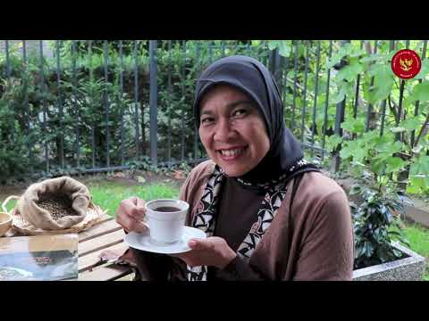 Cupping Indonesian Coffee in Belgium