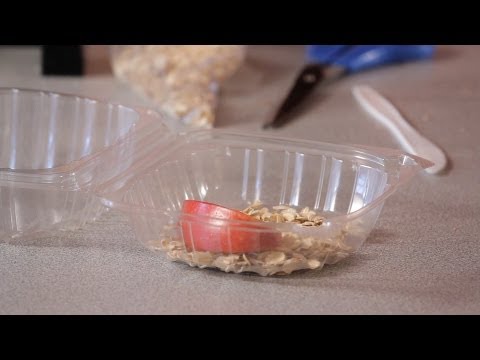 How to Make a Mealworm Habitat | Science Projects