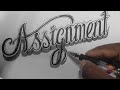 HOW TO WRITE FRONT PAGE OF ASSIGNMENT IN 3D || Stylish Writing ✍️💞