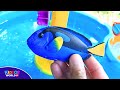 Water Table Play With Sea Animals Toys And Learn Different Types Of Sea Animal Names And Videos