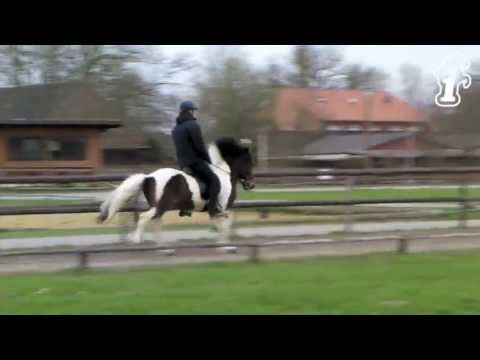 FIZO Kronshof 2013 - www.isibless.de