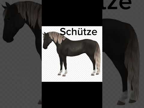 Dein Sternzeichen dein SSO Pferd ♈🐎